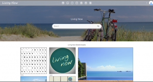 Screenshot of a branded Portal in the Canto DAM for Living Now.