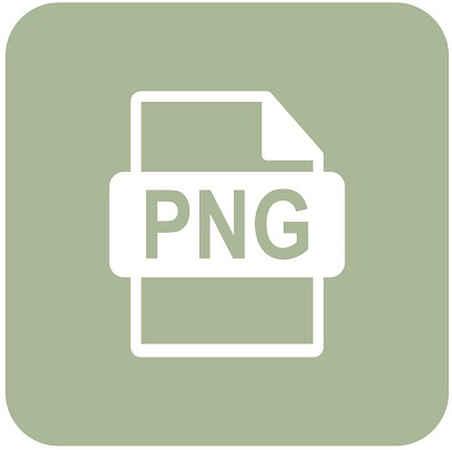 A picture of the PNG file type logo.