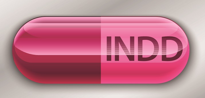 A screenshot of the INDD logo.