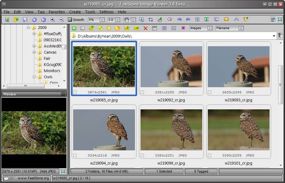 The FastStone Image Viewer interface.