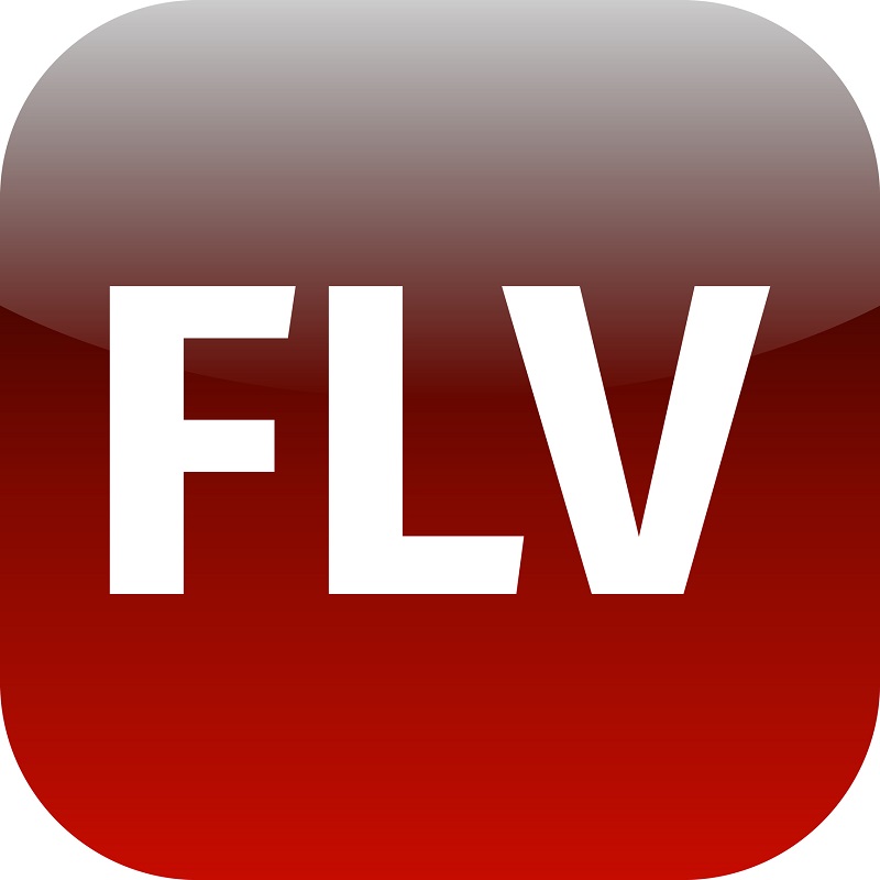 flv-video-file-a-guide-to-the-browser-extension-canto