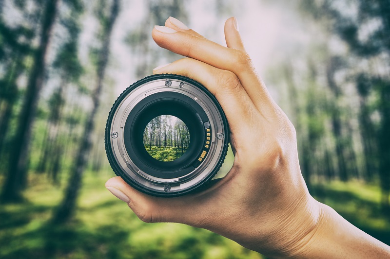 A hand holding a camera lens in the woods.