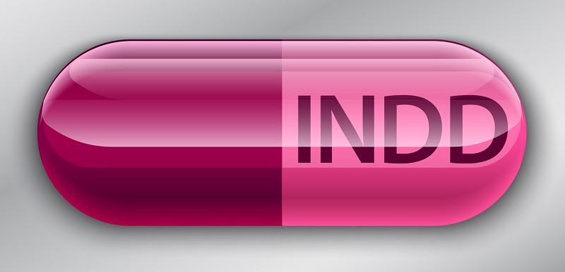 A picture of the INDD file icon.