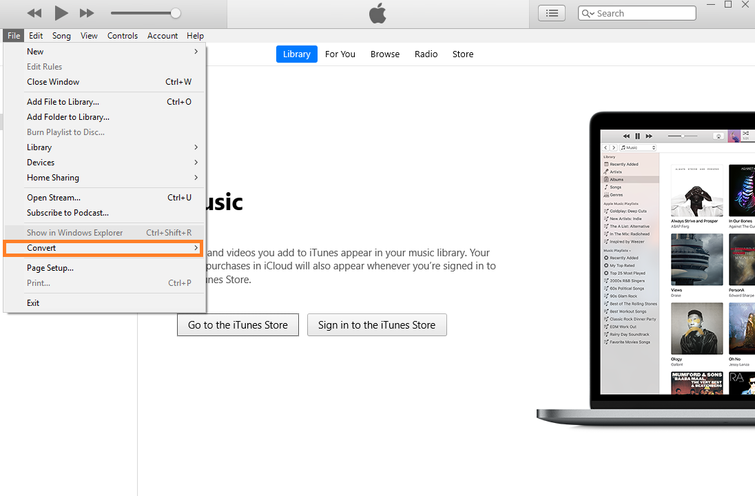 A screenshot of iTunes.