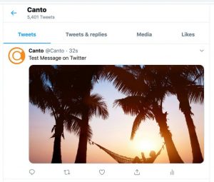 Screenshot of a Twitter feed with an asset shared directly from the Canto DAM.