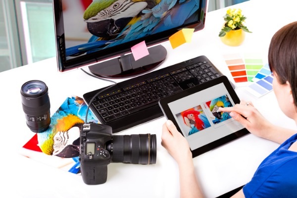 A woman uses a tablet for her bird pictures.