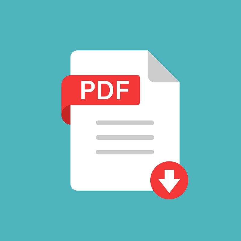 The PDF file icon.