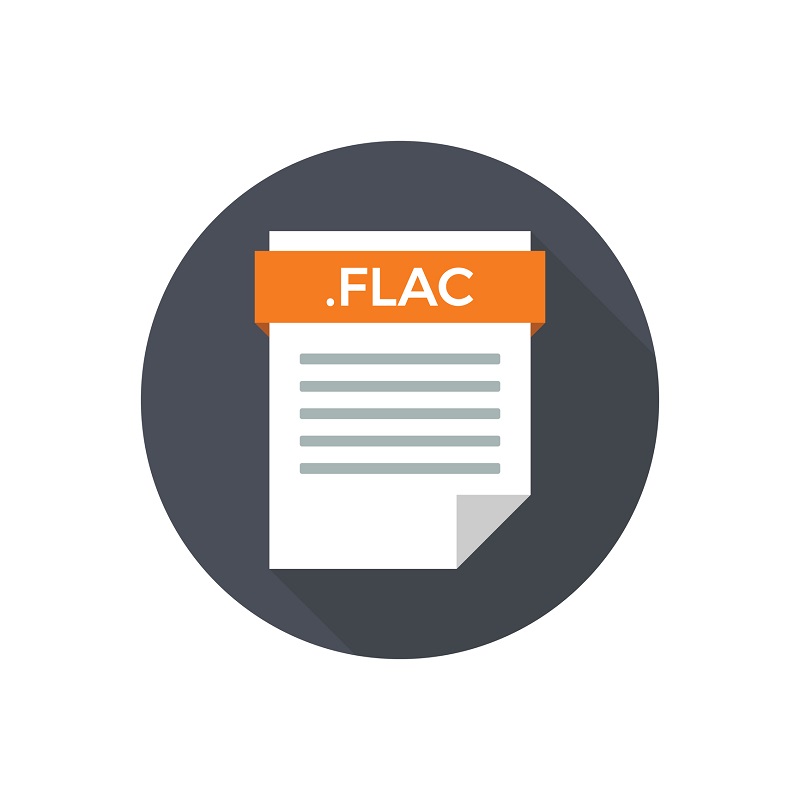 The flac file type icon.