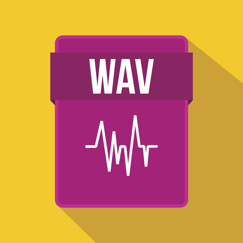 The WAV audio file icon.