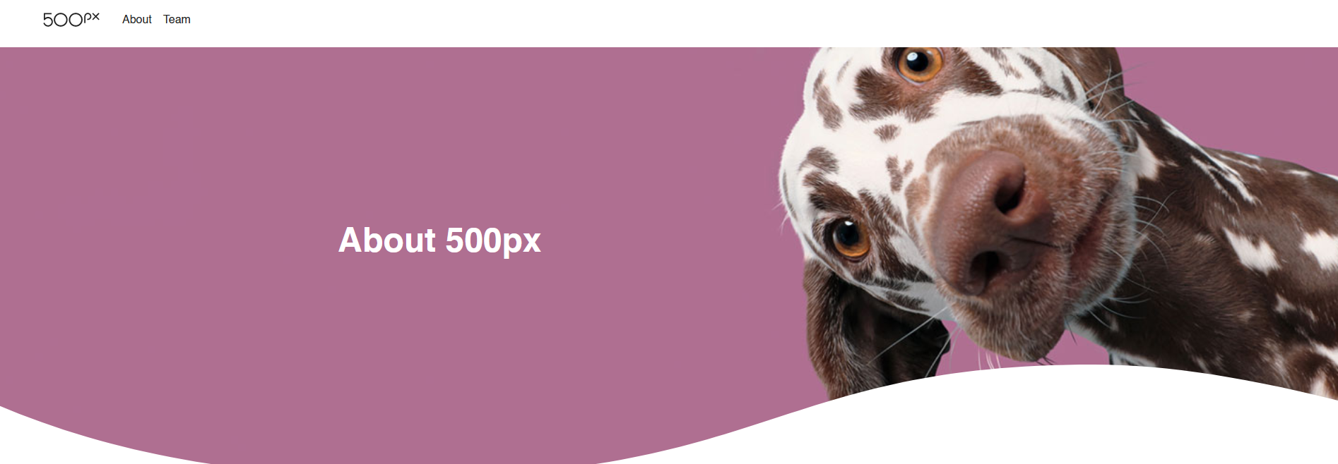 The 500px website.