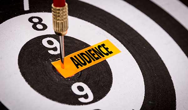 A bullseye with the word 'audience' on it.