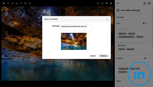 A screenshot of how to share an asset from Canto to LinkedIn with a message.
