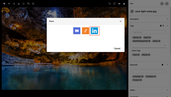 A screenshot showing how to share assets from Canto to LinkedIn.