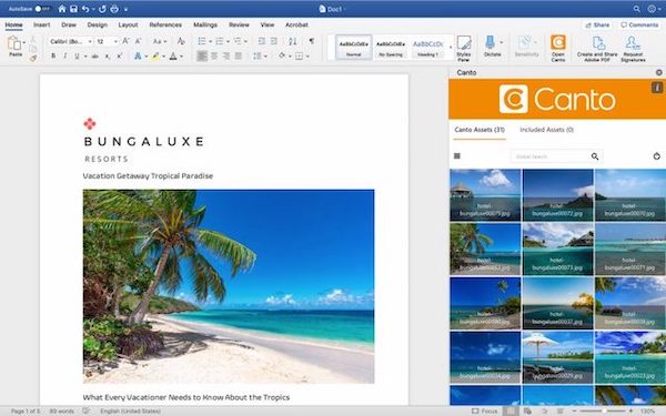 A preview of the Canto integration with Microsoft Word in action.