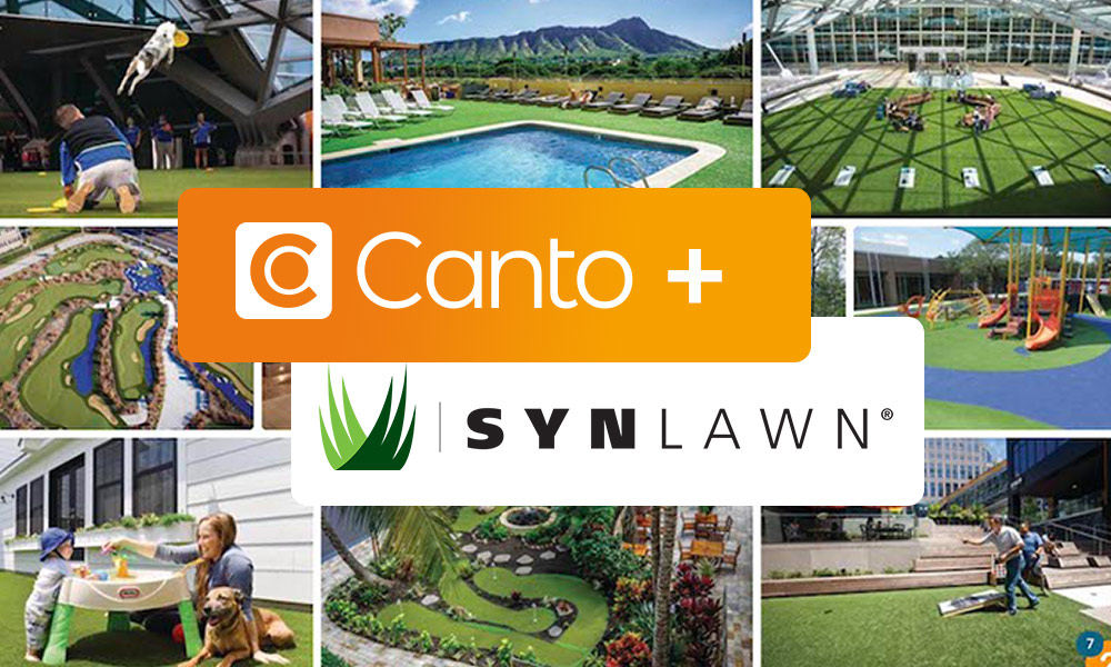 Creative Spotlight - Canto and SynLawn