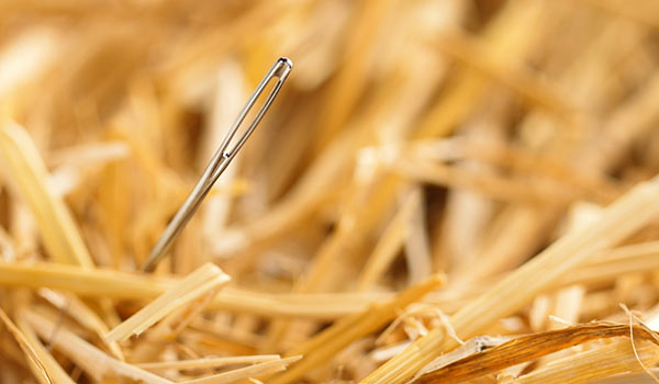 A needle in a haystack.