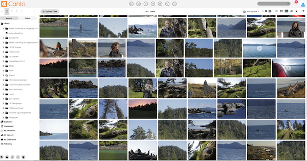 Screenshot of the Canto media library of FCS Denmark.