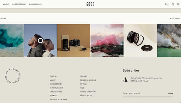 Screenshot of Gobe website with subtle email sign-up form in footer.