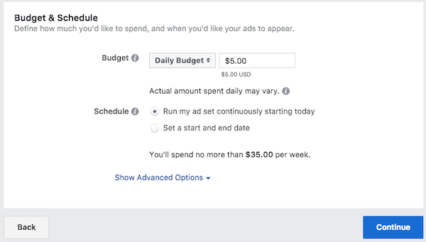 Screenshot of Facebook's ad bidding form.