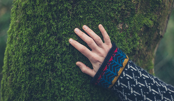 A person's hand touching a tree.