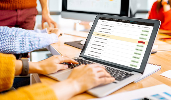 Marketer sitting at a laptop showing subscriber list with hard bounce marked red.