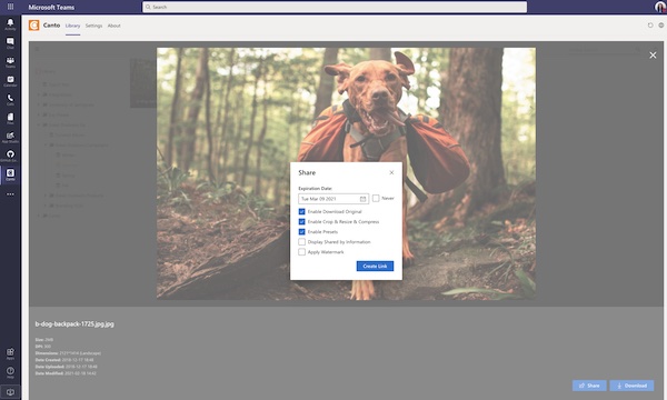 A screenshot showing how the Canto DAM works within Microsoft Teams.