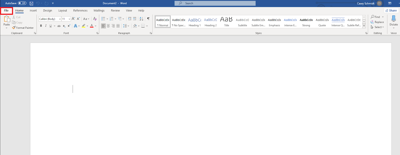 The file menu of Word.