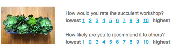 Simple poll embedded in a Mailchimp email.