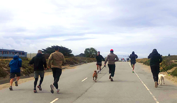 Canto team runs a 5k along a highway with two dogs.