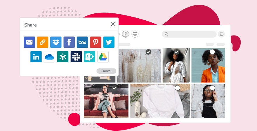 Fashion images in Canto's gallery view, with sharing option window.